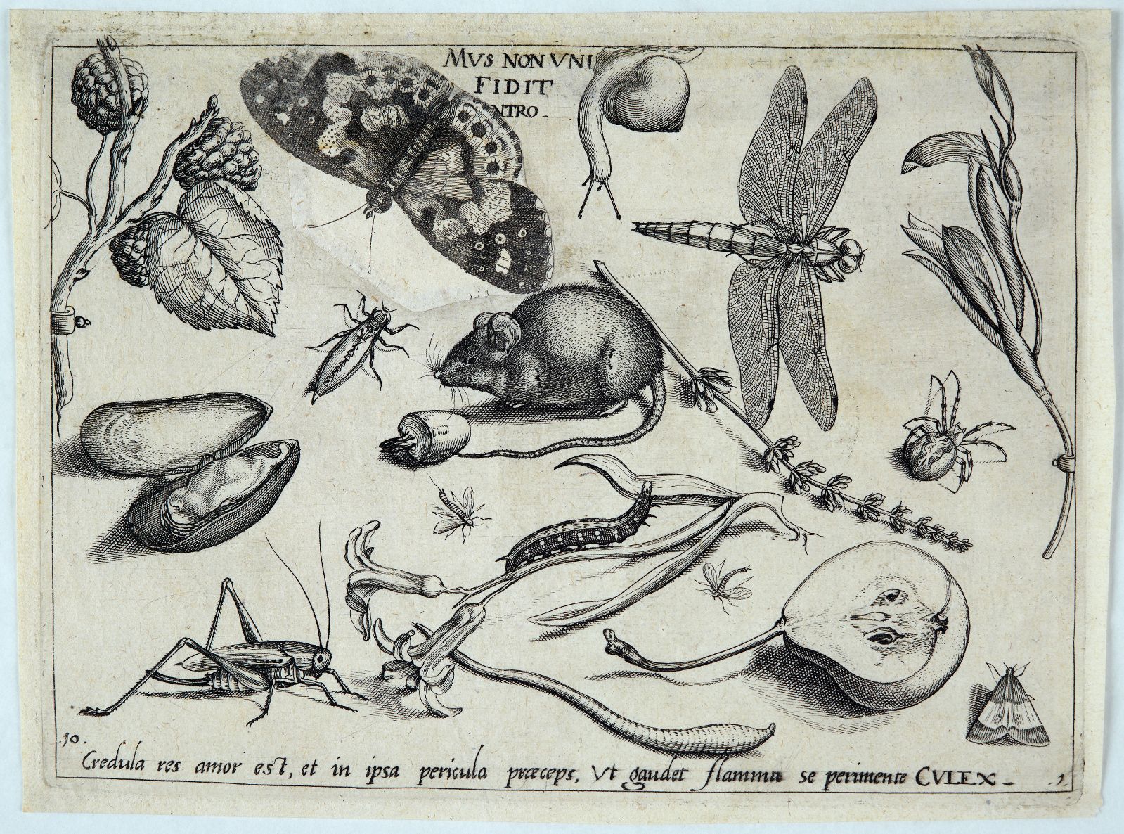 Archetypa studiaque patris (10) : Pars Prima