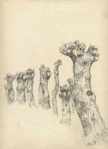Perspective de sept saules élagués (Titre factice)
