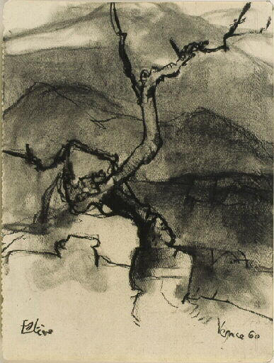 D.568 Olivier à Vence