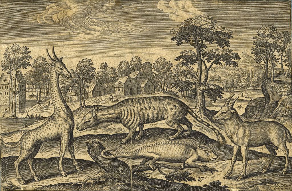 Girafe, caméléon, civette et strepsicheros