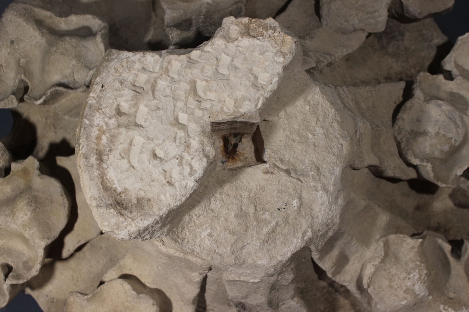 Chapiteau orné de feuilles de choux