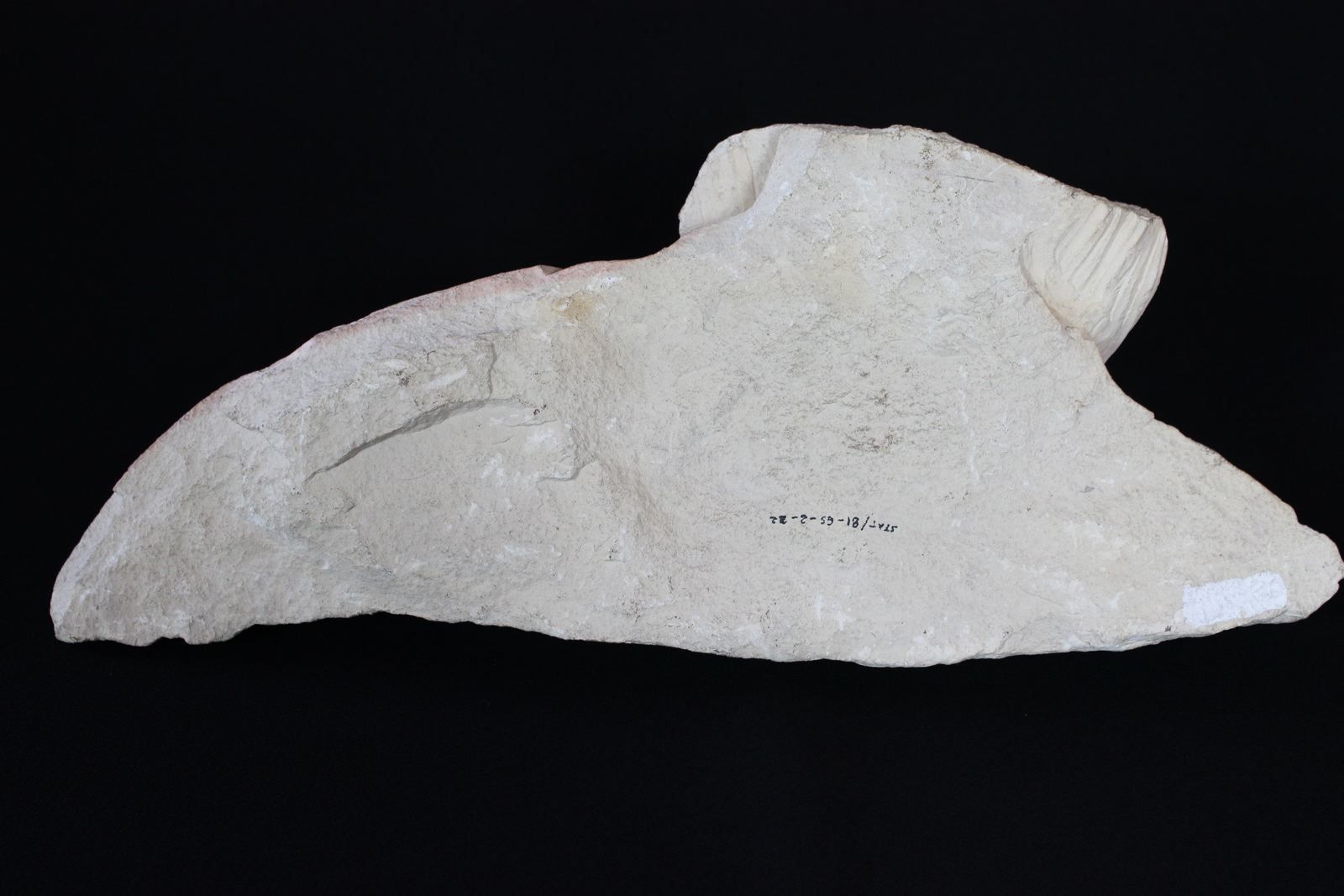 Fragment de buste, barbe