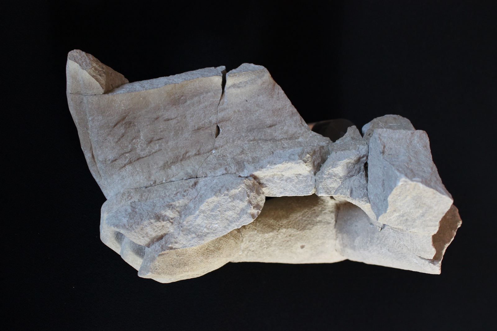 Main et bras d'une gargouille