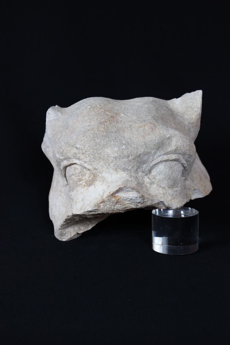 Tête d'une gargouille