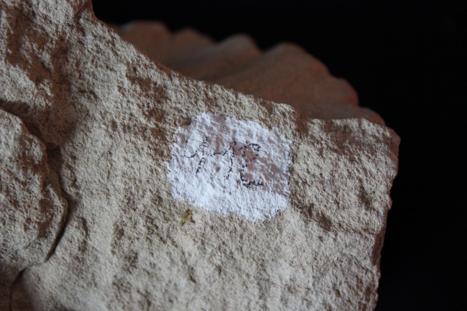 Choux frisé gothique