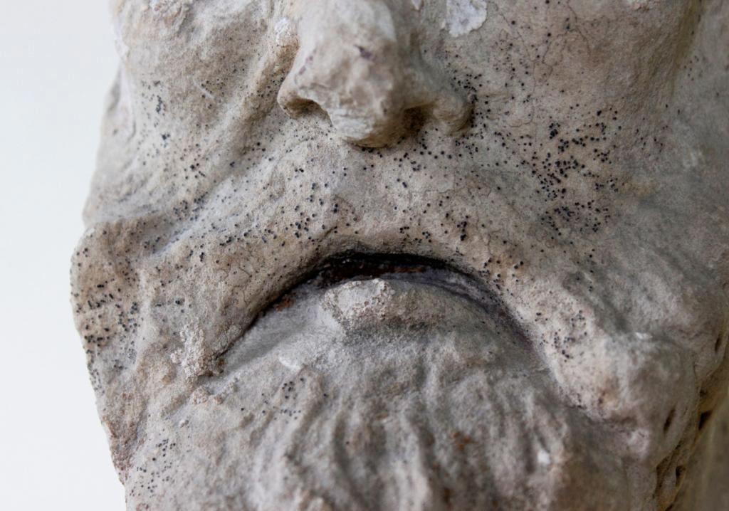 Tête d'apôtre en ronde-bosse