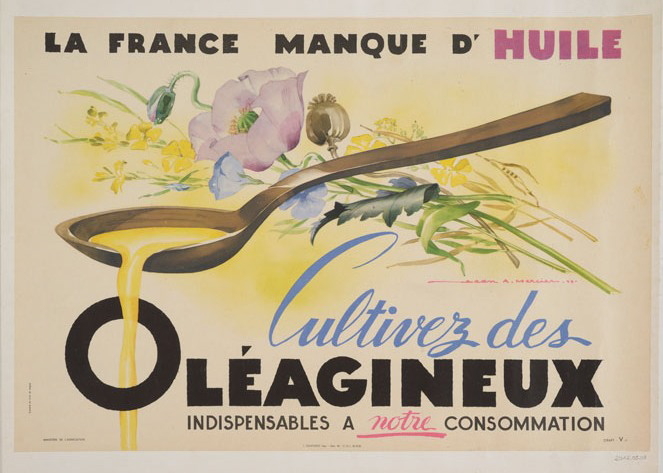 La France manque d'huile. Cultivez des oléagineux