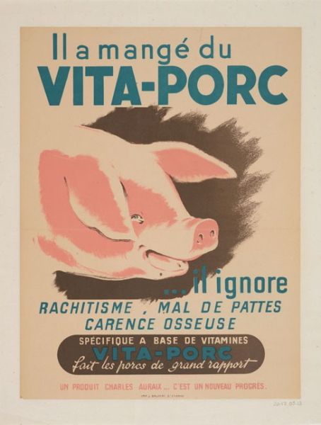 Il a mangé du Vita Porc.. Il ignore rachitisme, mal de pattes, carence osseuse