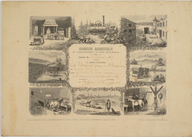 Comice agricole de l'arrondissement de Niort (Deux-Sèvres) concours du 14 septembre 1879 pour les vaches de 3 ans révolus. 3ème prix