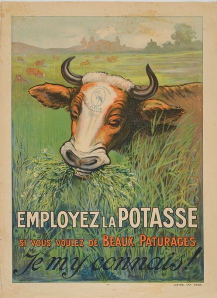 Employez la potasse si vous voulez de beaux pâturages