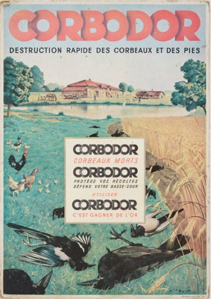 Corbodor destruction rapide des corbeaux et des pies