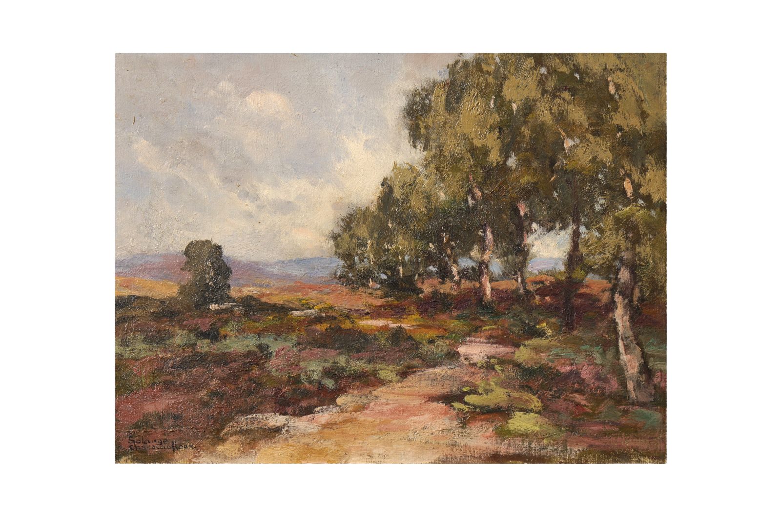 Chemin traversant la lande (titre factice)