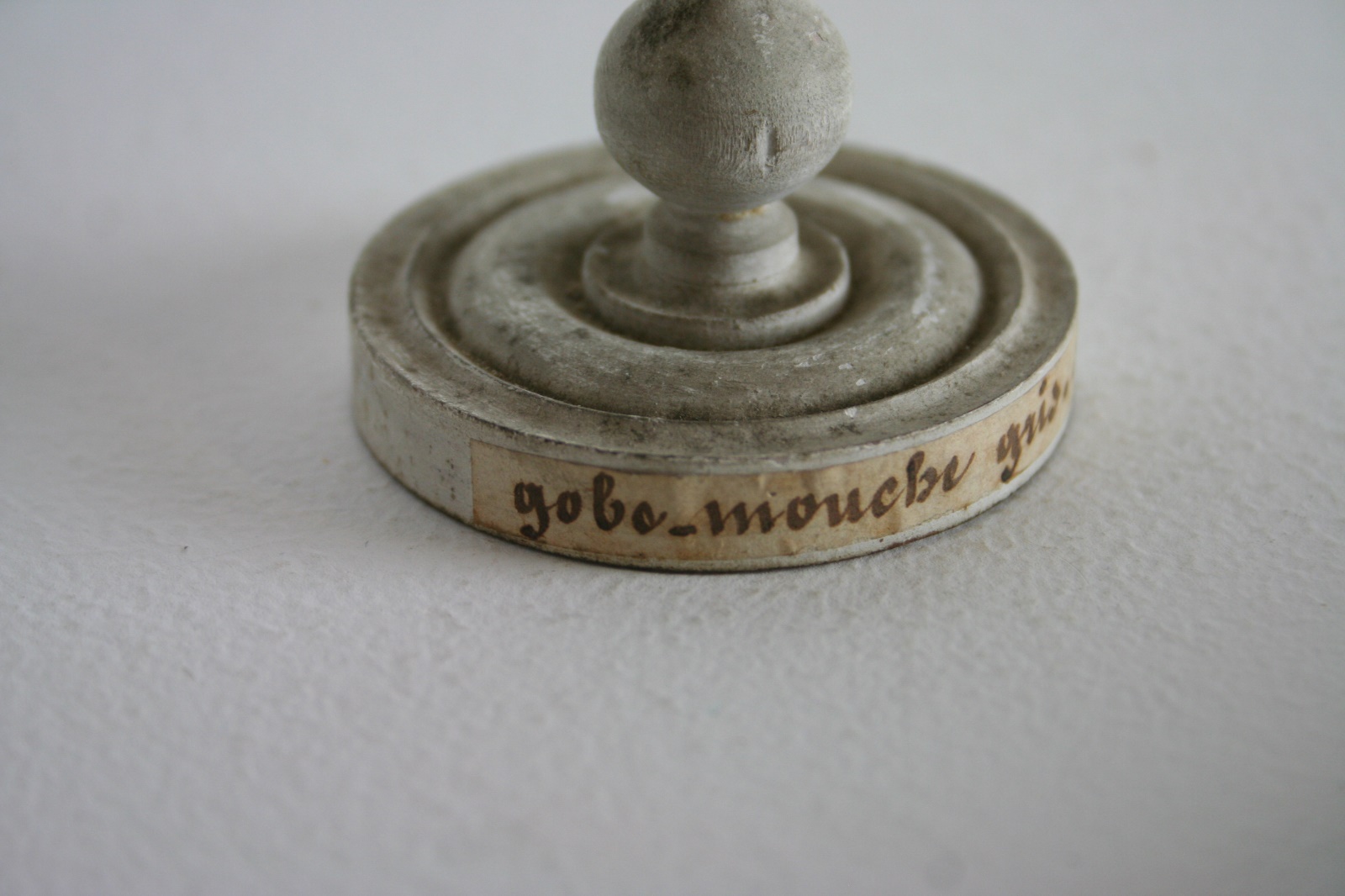Gobe-mouche gris