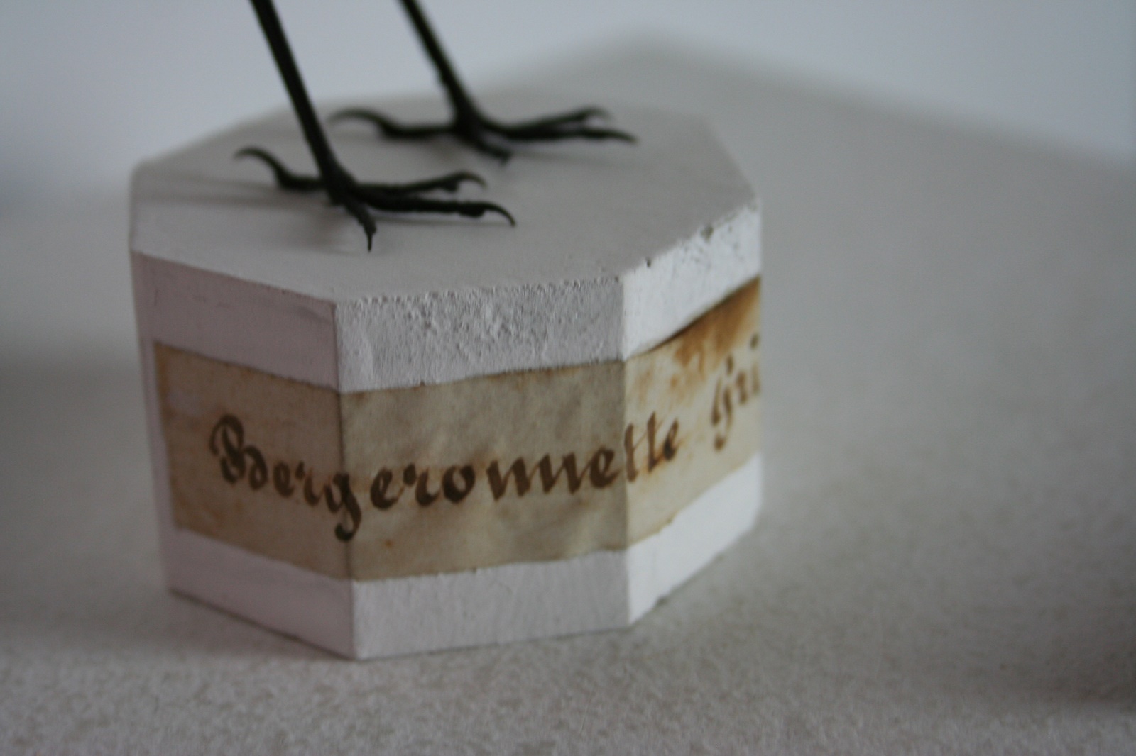 Bergeronnette grise