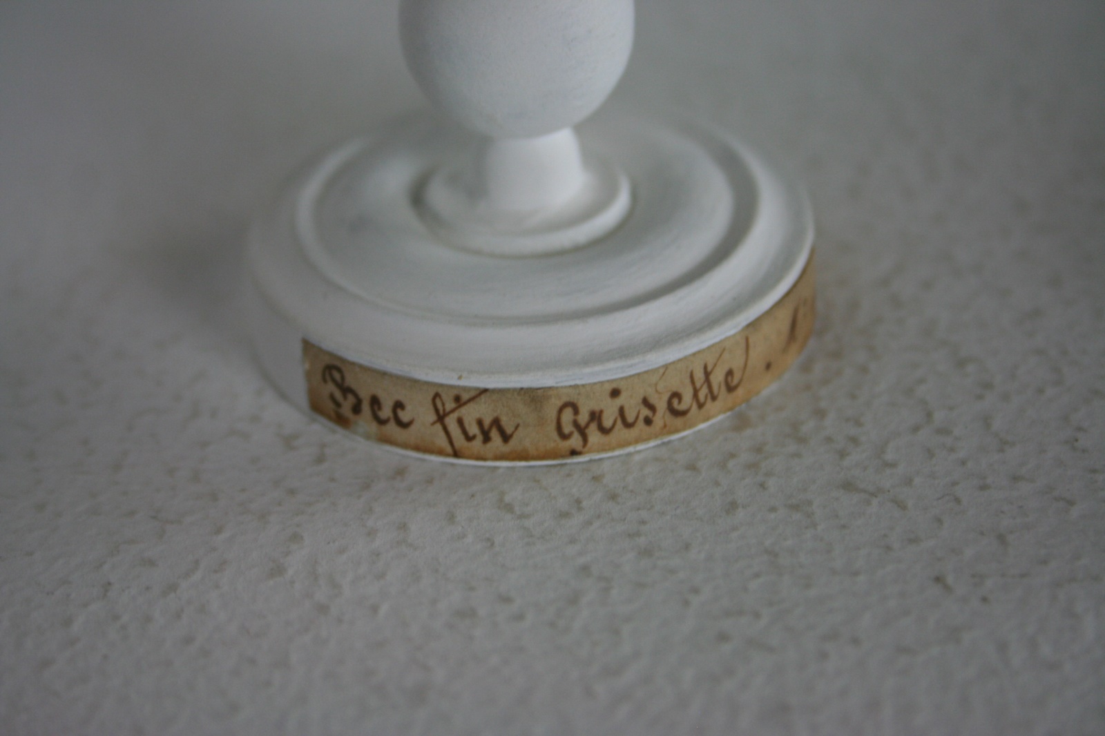 Fauvette grisette