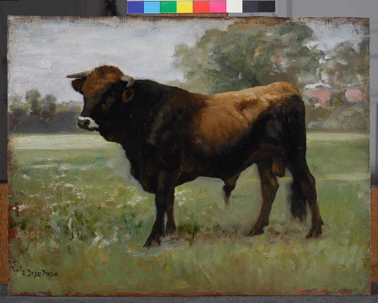 Le Taureau noir