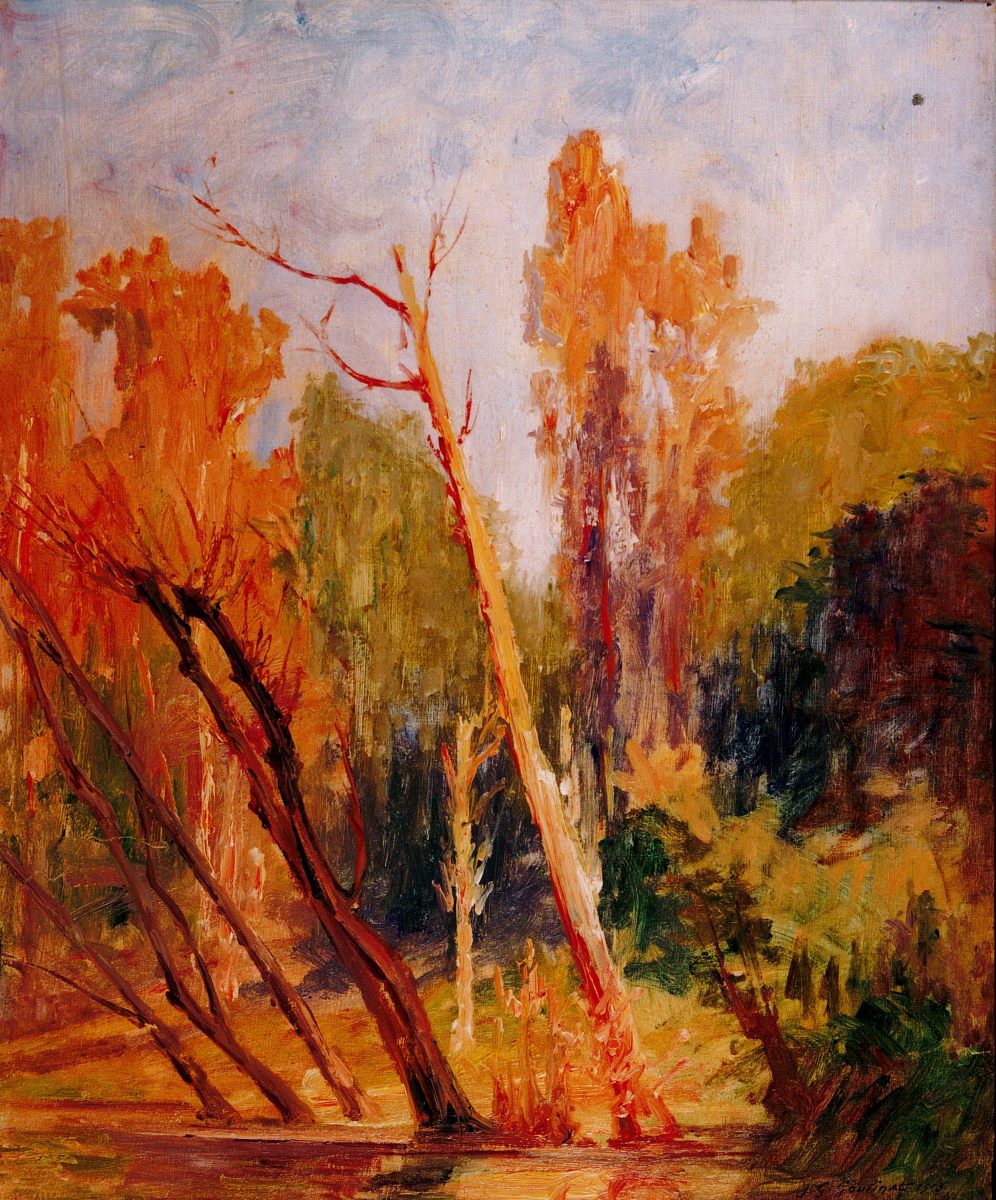 Peupliers sur les bords de la Cère