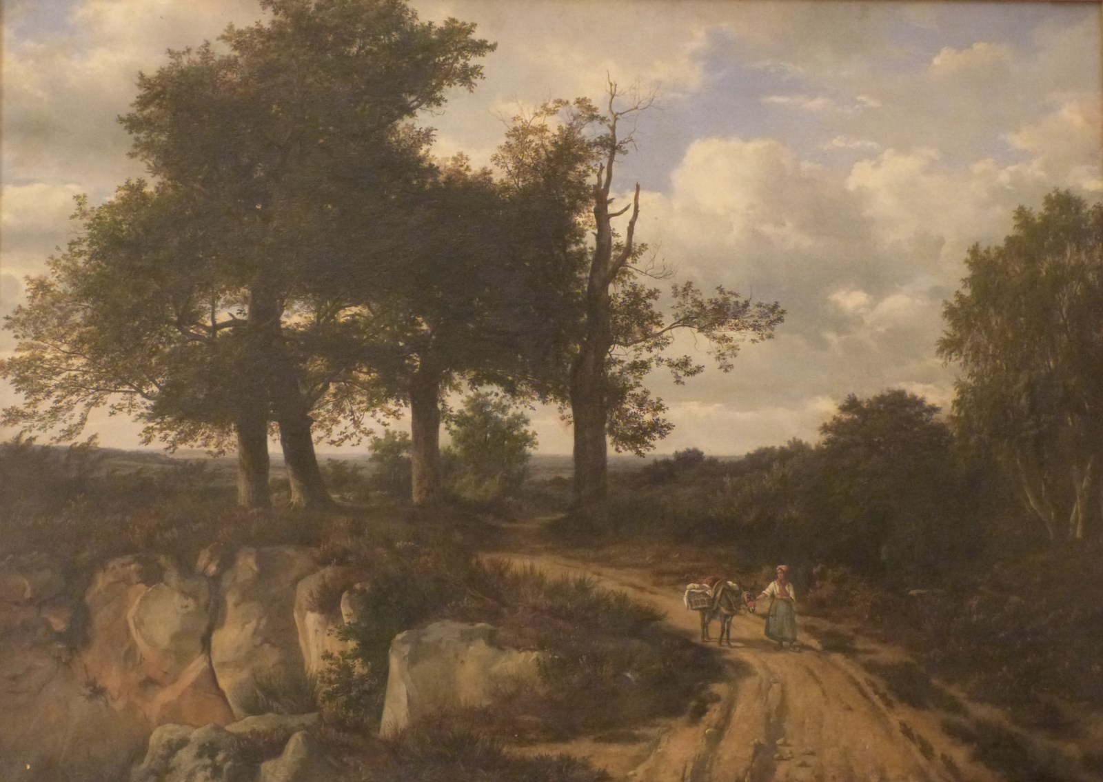Paysage, Forêt de Fontainebleau