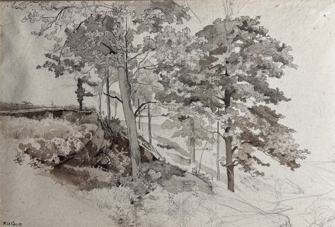 Arbres
