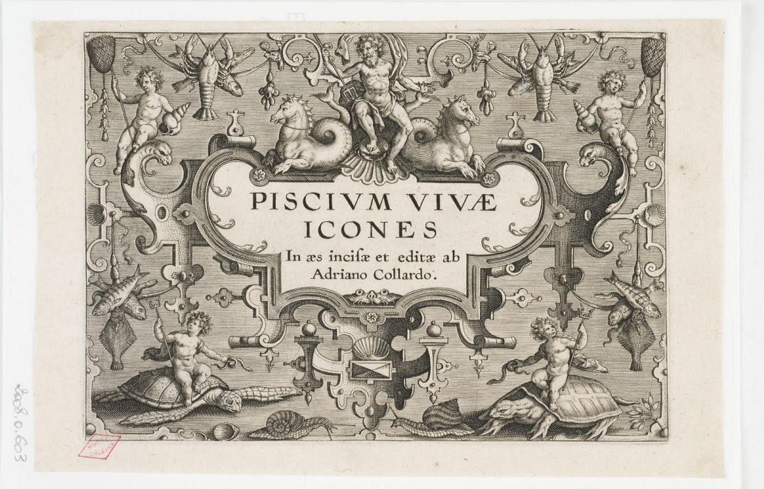 Frontispice de Piscium vivae icones