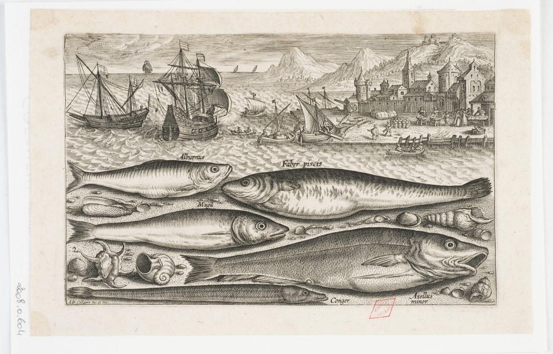 Poissons et coquillages