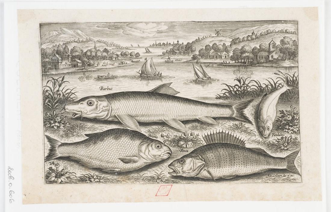 Poissons