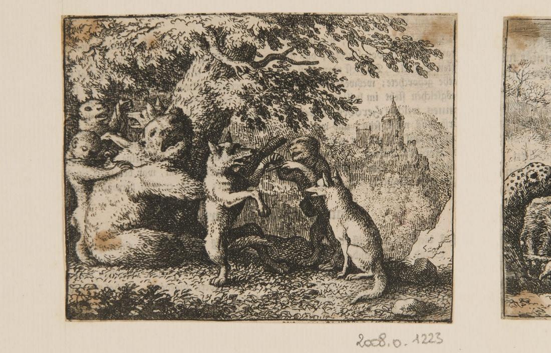 Exécution d'un ordre du lion, en vertu duquel on enlève à l'ours un morceau de la peau de son dos, tandis qu'on écorche les pattes du devant du loup