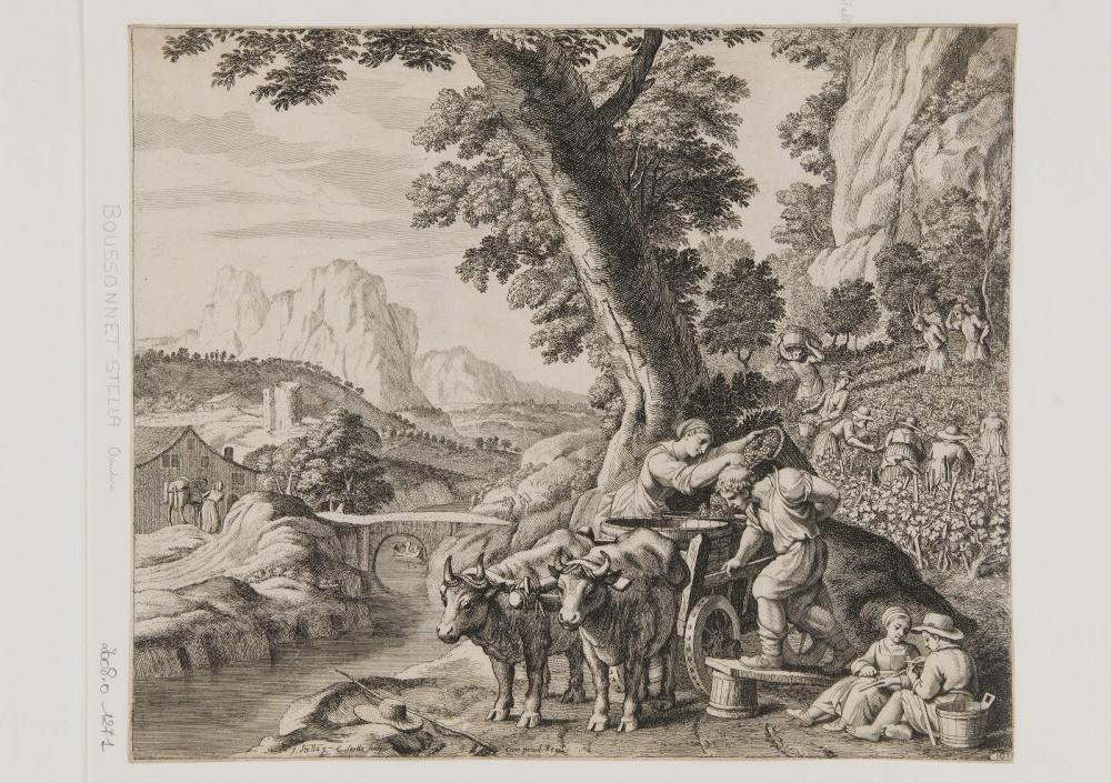 Les vendanges