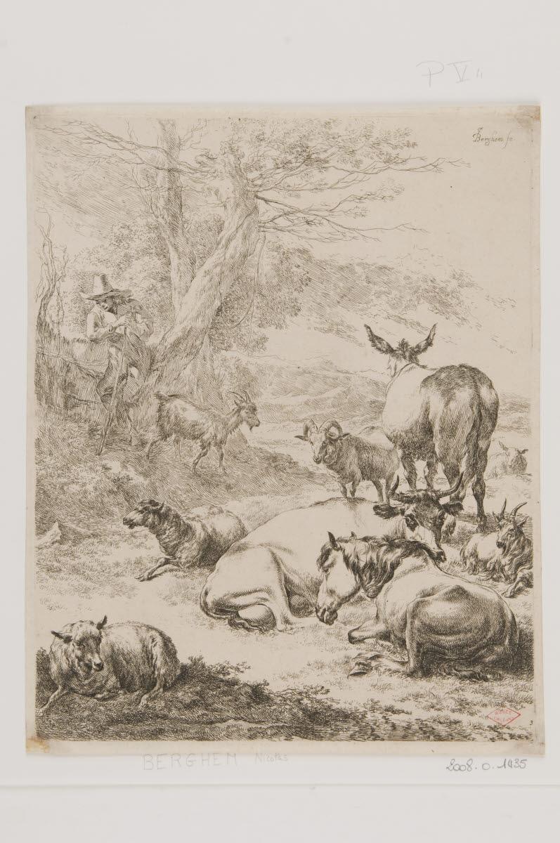 Le troupeau au repos