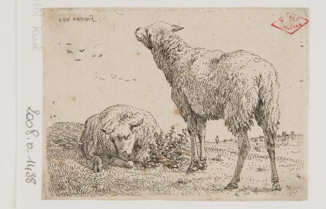 Deux moutons