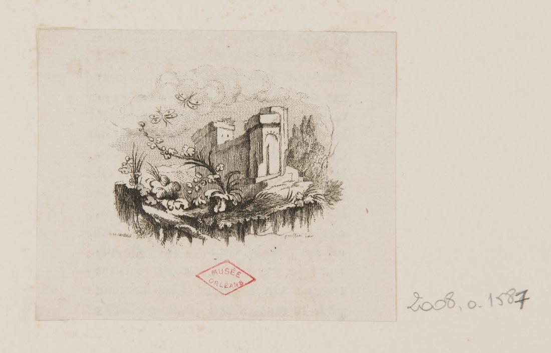 Ruines avec deux papillons