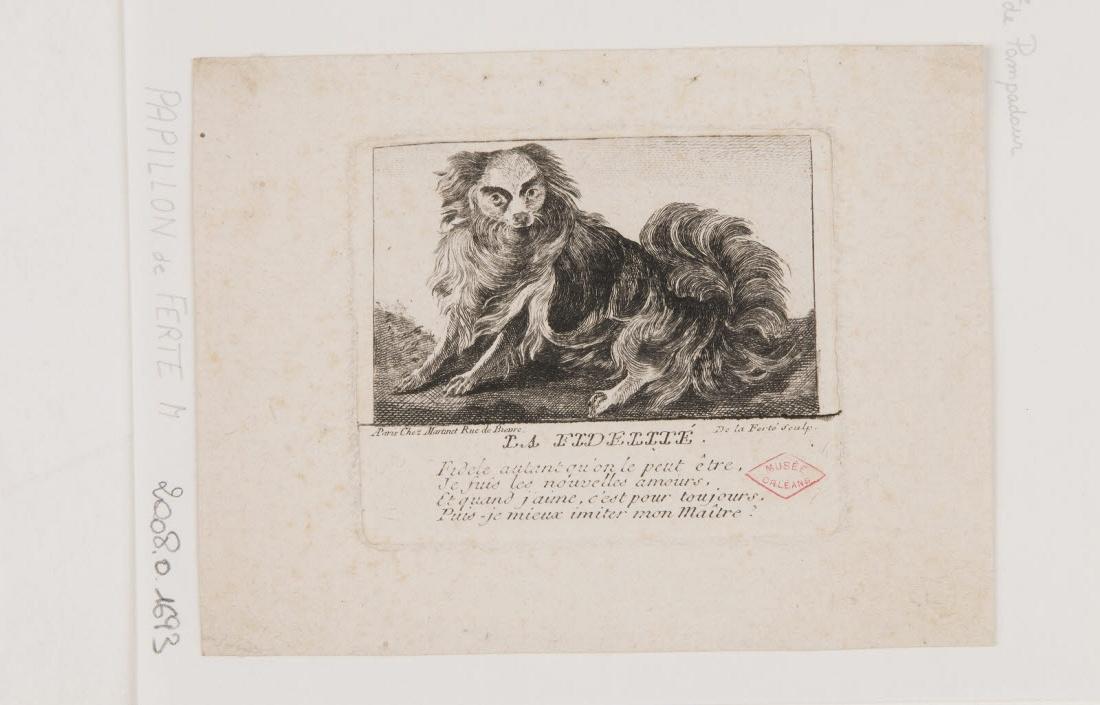 La fidélité