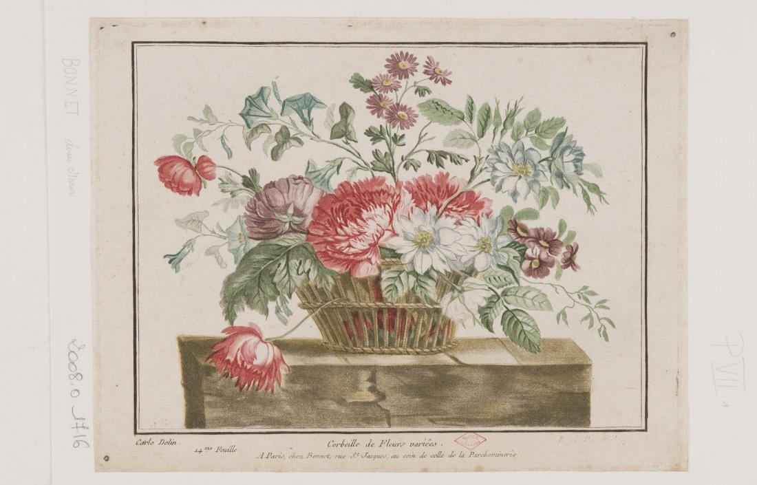 Corbeille de fleurs variées