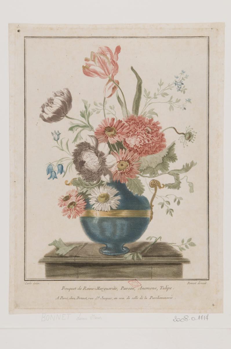 Bouquet de reine-marguerite, paveau, anémone, tulipe