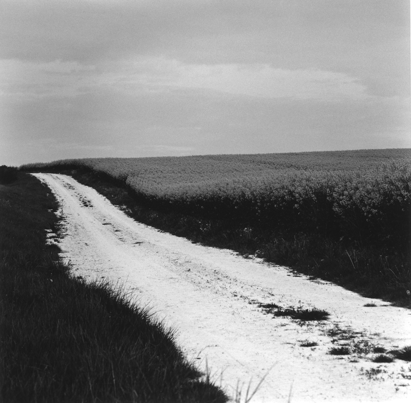 La plaine, Coulomnes