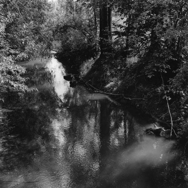 Ruisseau à Paliseul (Belgique)