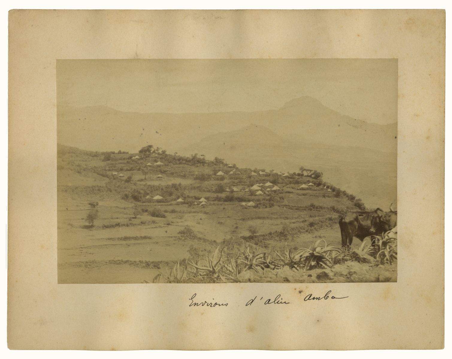 Vue des environs d'Alin-Amba (titre inscrit)