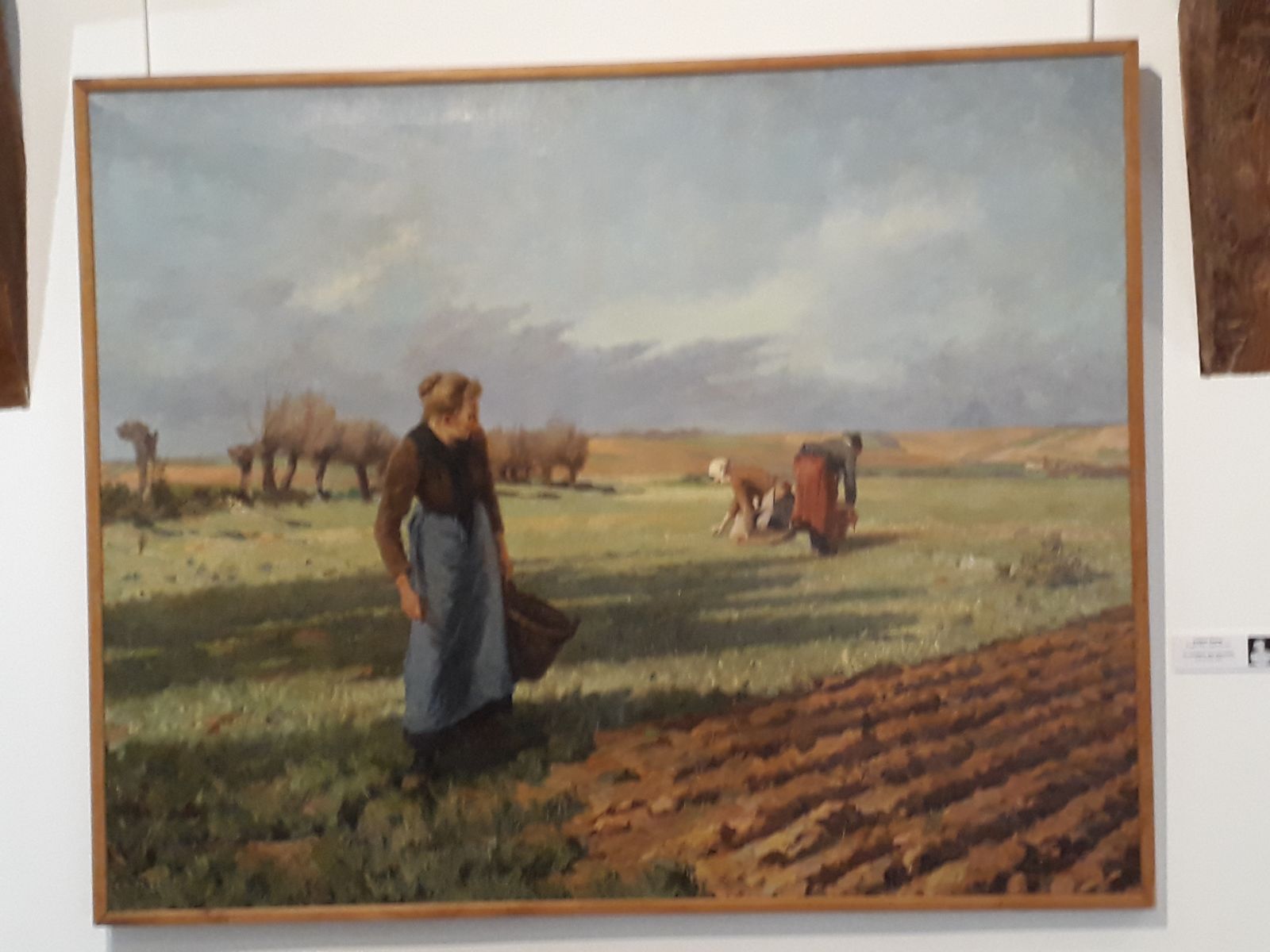 La Cueillette des pissenlits (titre ancien)