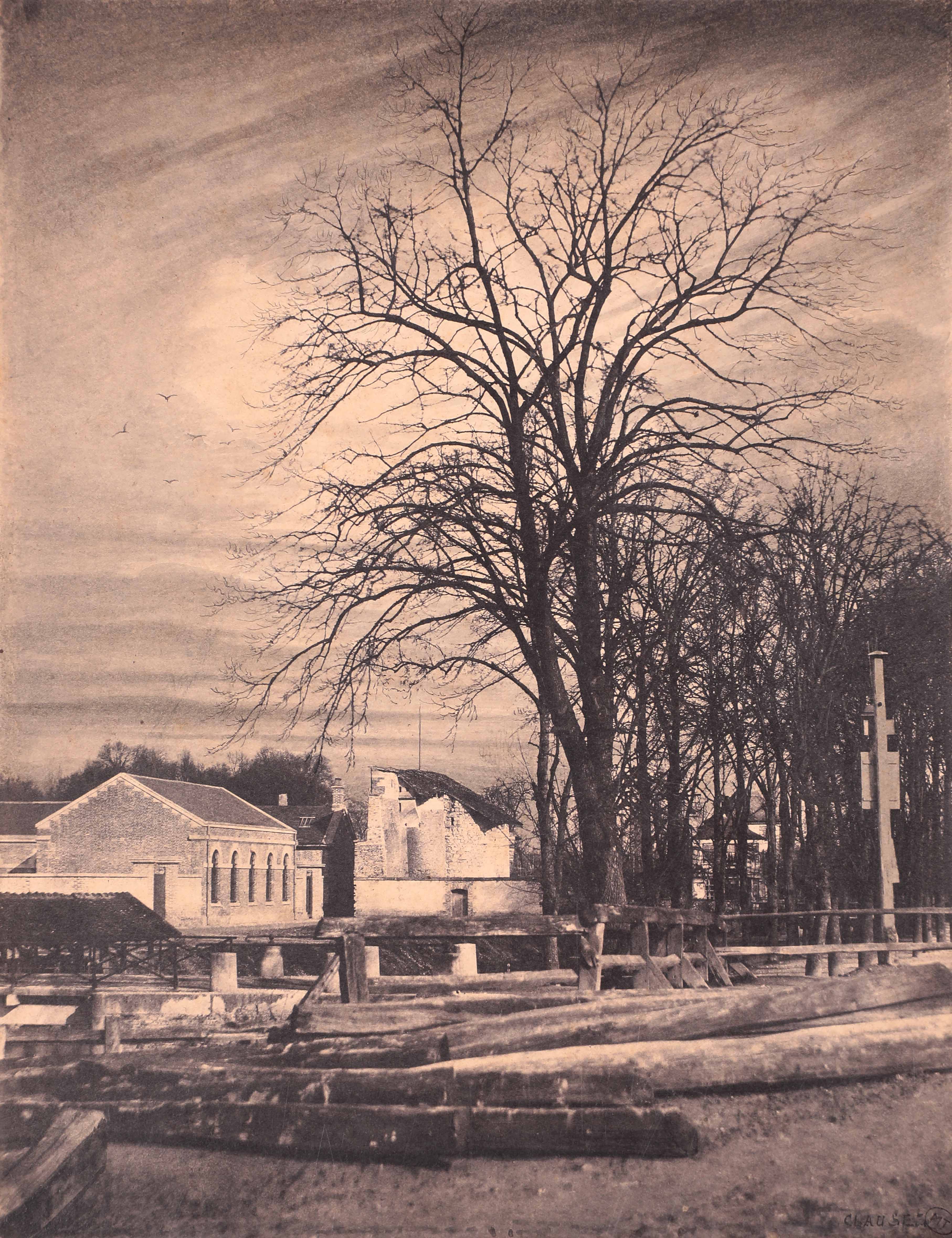 Troyes, arbres près du pont de Juilly, effet d'hiver