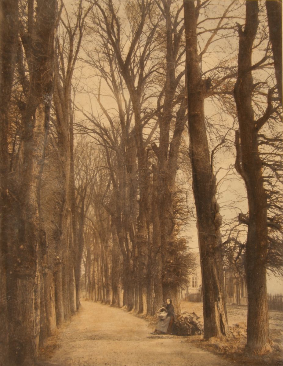 Troyes, une allée du mail de Chaillouet