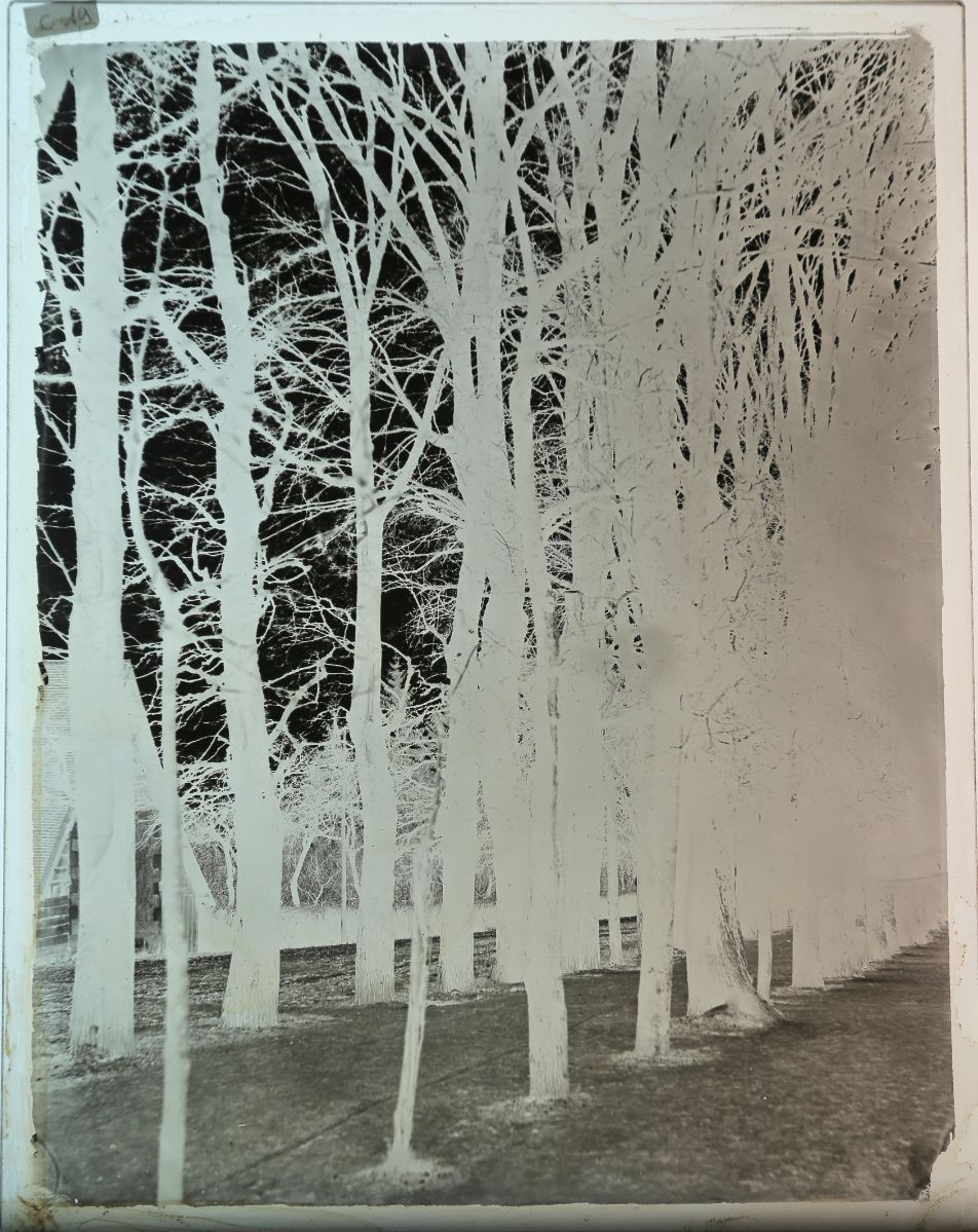 Troyes, mail de Chaillouet ?