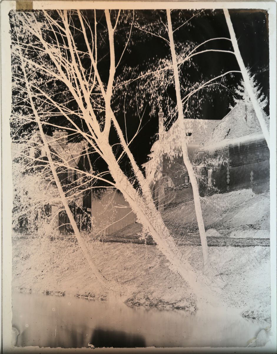 Troyes, arbres bordant la Seine rue de l'Abattoir