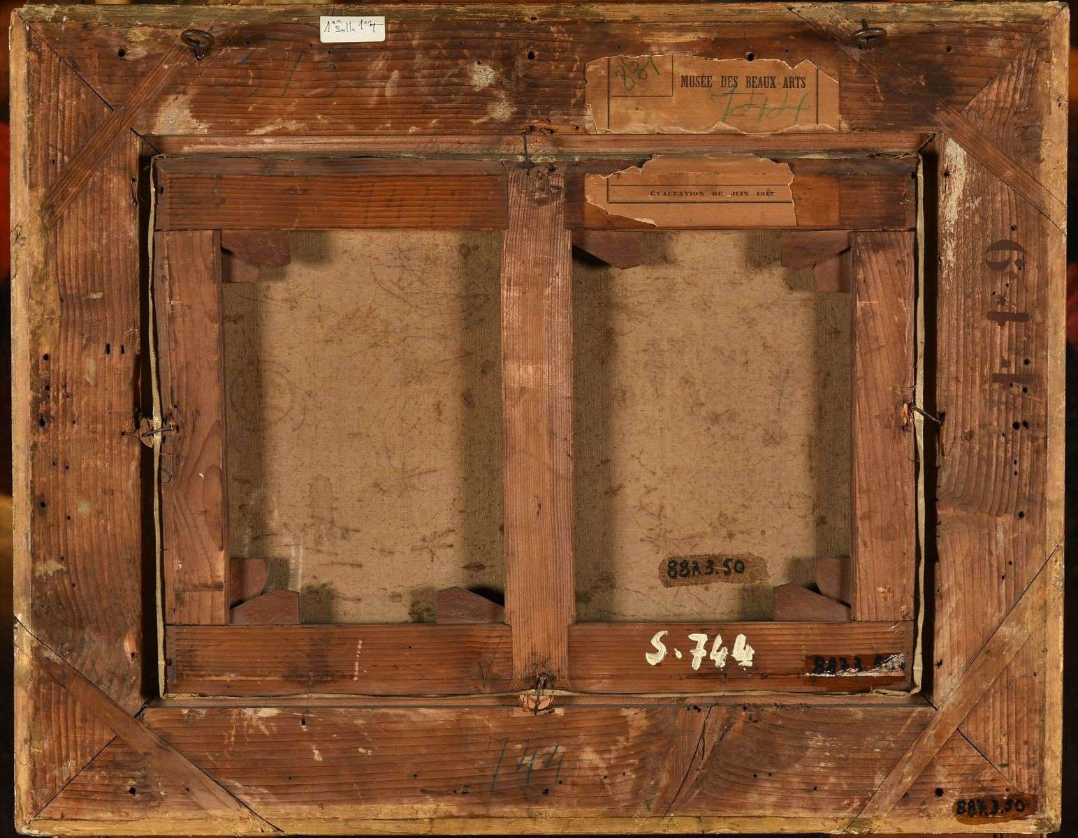 Coupée dans un bois