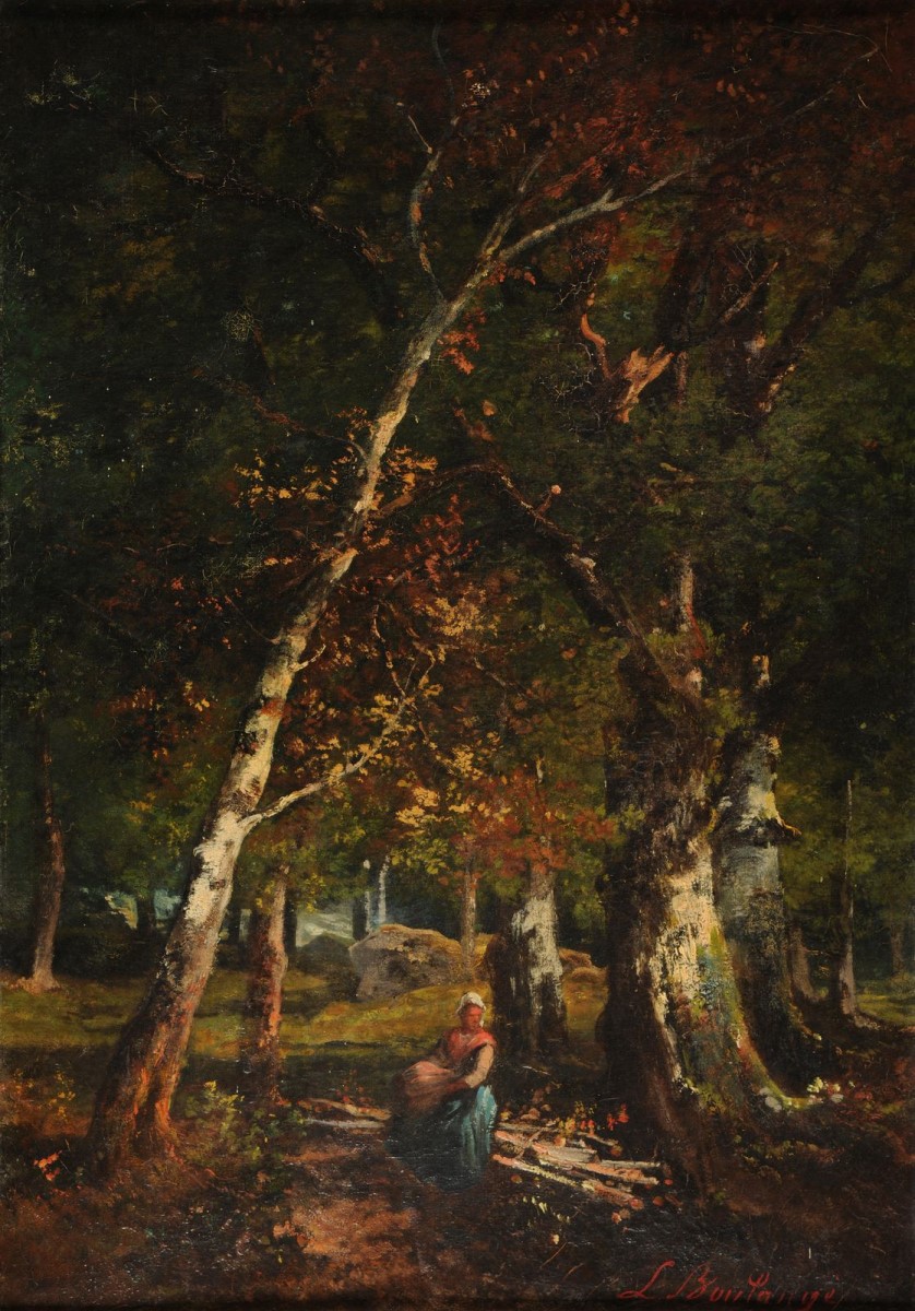 Sous-bois à Fontainebleau