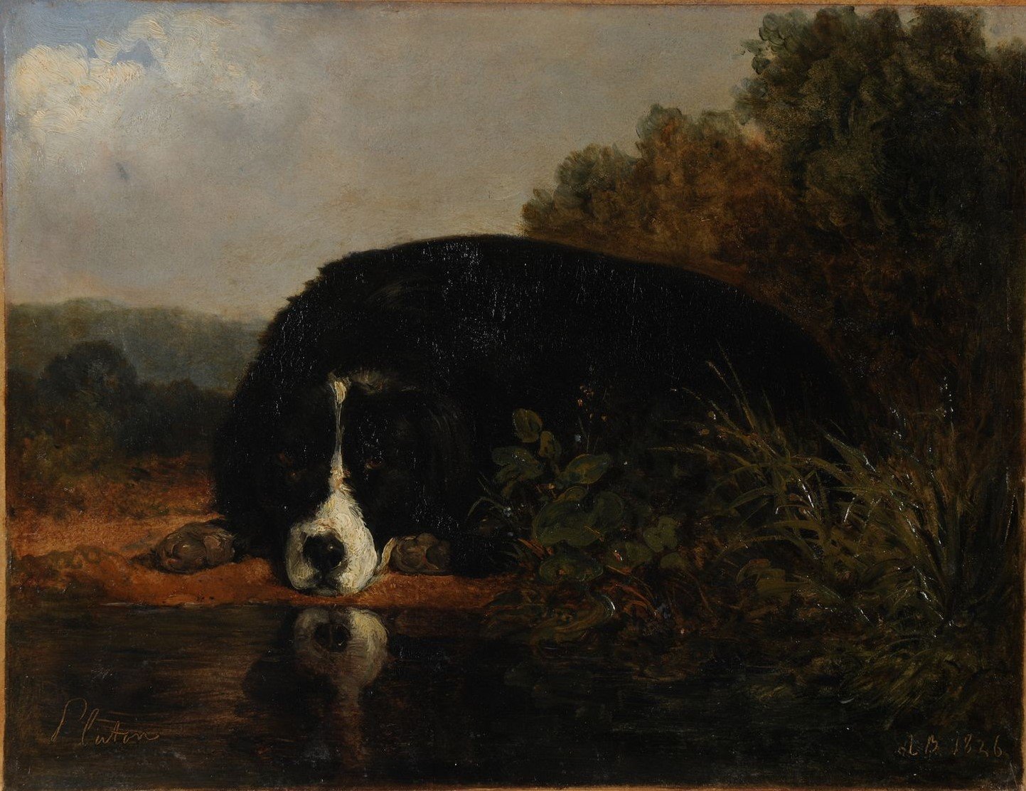 Pluton, chien favori du maître