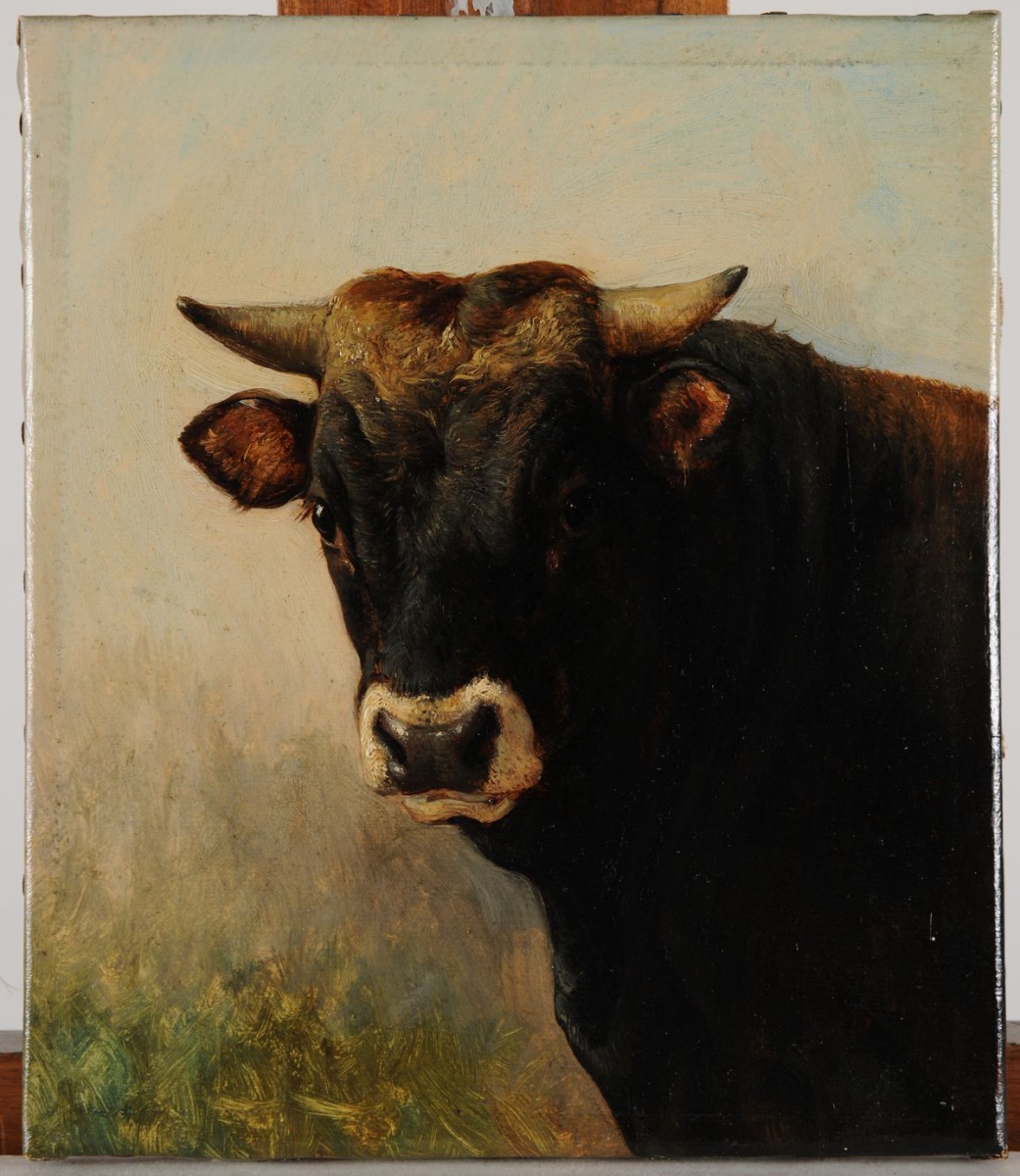 Tête de boeuf noir (titre attribué) ; Tête de taureau (autre titre attribué)
