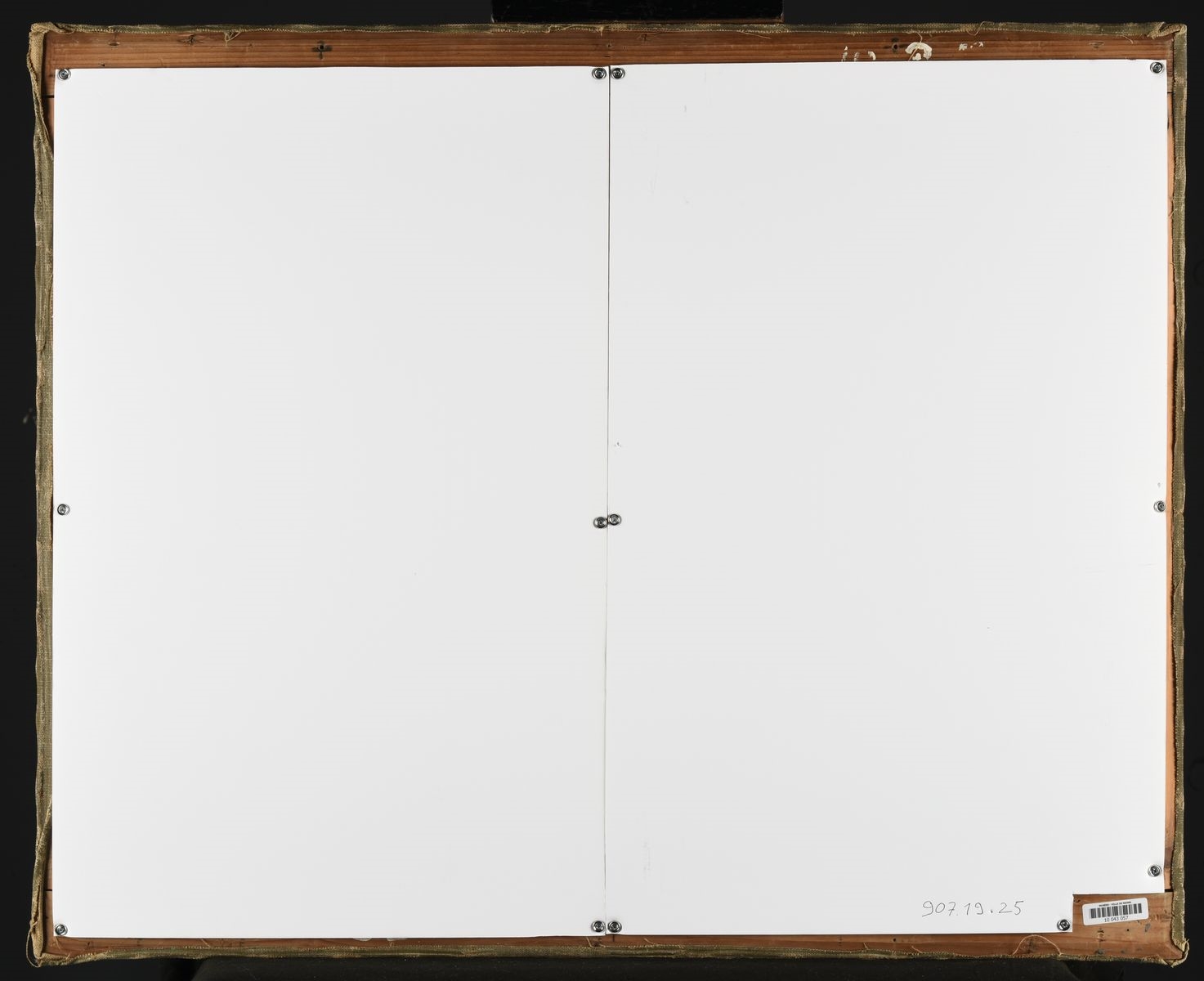 Hortensias (grande chaleur)