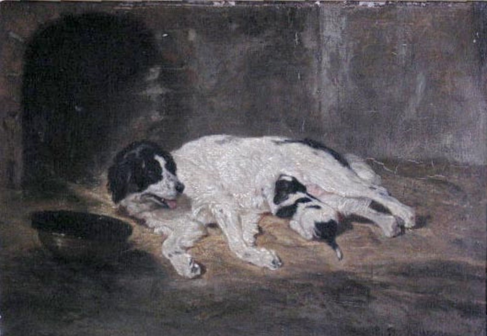 Chienne de Terre-Neuve allaitant son petit ; La Bonne Mère