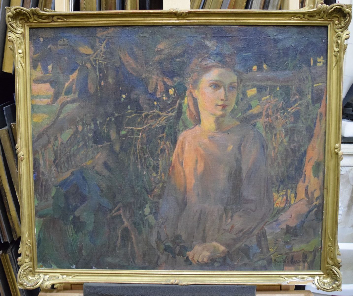 Effet de soleil dans les sapins