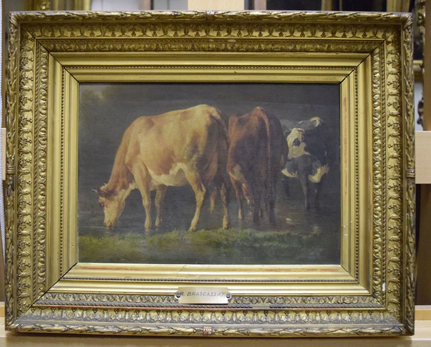 Trois vaches à robes couleurs café au lait, brune et noire